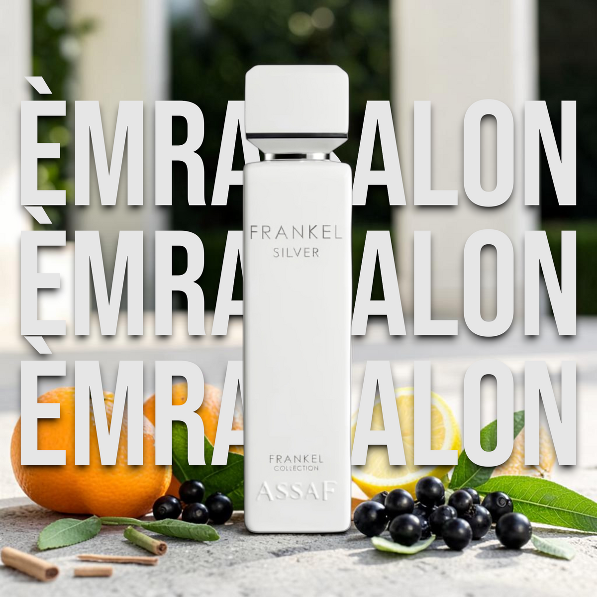Assaf Frankel Silver 100ml